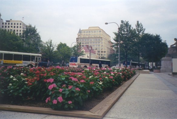 cityflowers