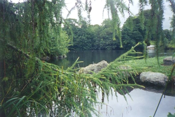 fernlake